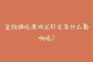 宠物猫吃澳洲龙虾会有什么影响呢?