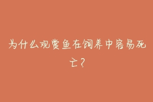 为什么观赏鱼在饲养中容易死亡?