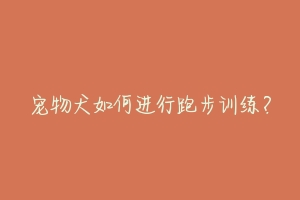 宠物犬如何进行跑步训练?