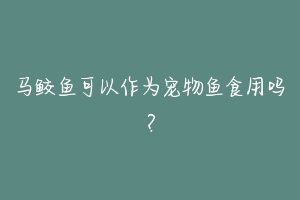马鲛鱼可以作为宠物鱼食用吗?