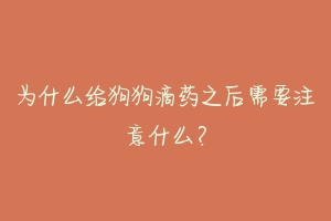 为什么给狗狗滴药之后需要注意什么?