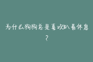 为什么狗狗总是喜欢趴着休息?