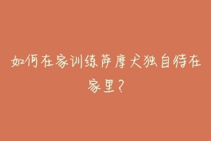 如何在家训练萨摩犬独自待在家里?