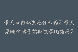 柴犬体内驱虫吃什么药?柴犬用哪个牌子的驱虫药比较好?