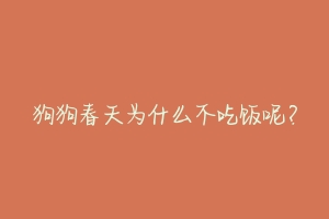 狗狗春天为什么不吃饭呢?