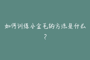 如何训练小金毛的方法是什么?