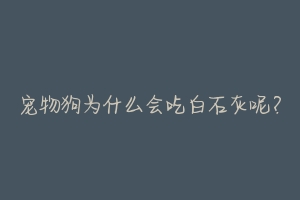 宠物狗为什么会吃白石灰呢?