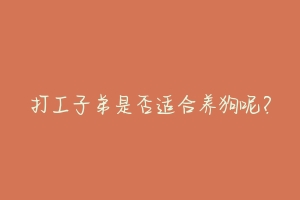 打工子弟是否适合养狗呢?