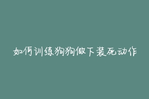 如何训练狗狗做下装死动作