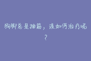狗脚总是抽筋,该如何治疗呢?
