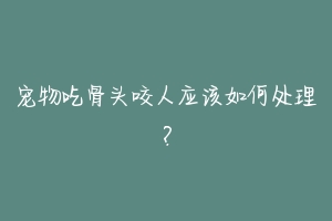 宠物吃骨头咬人应该如何处理?