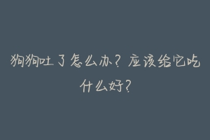 狗狗吐了怎么办?应该给它吃什么好?