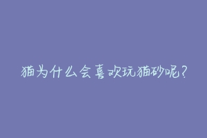 猫为什么会喜欢玩猫砂呢?