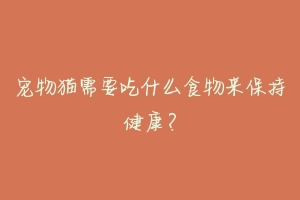 宠物猫需要吃什么食物来保持健康?