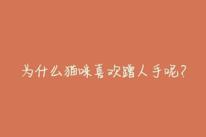 为什么猫咪喜欢蹭人手呢?
