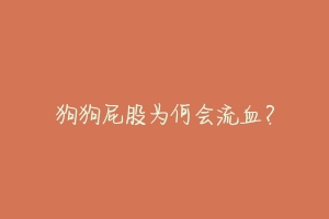 狗狗屁股为何会流血?