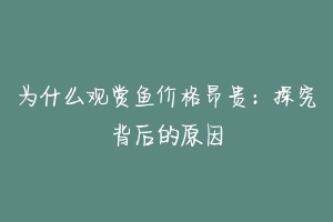 为什么观赏鱼价格昂贵:探究背后的原因