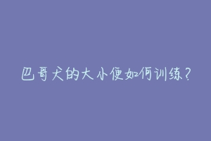 巴哥犬的大小便如何训练?