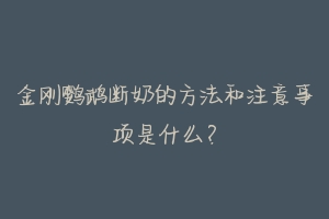 金刚鹦鹉断奶的方法和注意事项是什么?