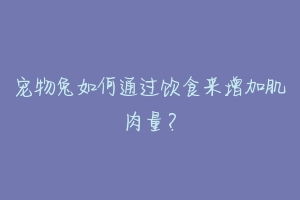 宠物兔如何通过饮食来增加肌肉量?