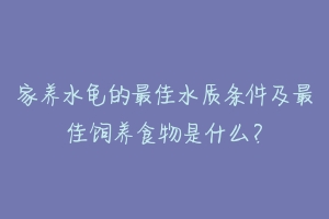 家养水龟的最佳水质条件及最佳饲养食物是什么？