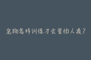宠物怎样训练才会害怕人摸?