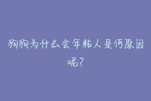 狗狗为什么会年粘人是何原因呢?