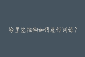 家里宠物狗如何进行训练?