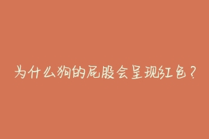 为什么狗的屁股会呈现红色?