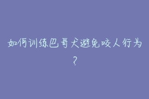 如何训练巴哥犬避免咬人行为?