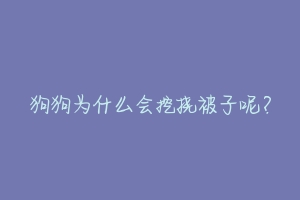 狗狗为什么会挖挠被子呢?