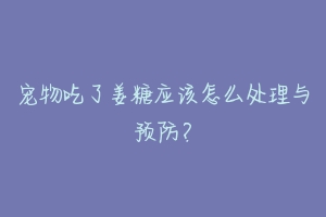 宠物吃了姜糖应该怎么处理与预防?