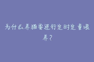 为什么养猫要进行定时定量喂养?