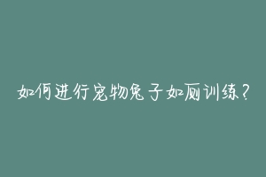 如何进行宠物兔子如厕训练?