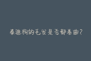 泰迪狗的毛发是否都卷曲?