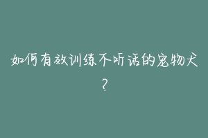 如何有效训练不听话的宠物犬?