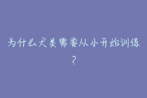为什么犬类需要从小开始训练?