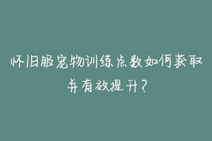 怀旧服宠物训练点数如何获取并有效提升?