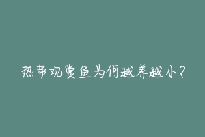 热带观赏鱼为何越养越小?