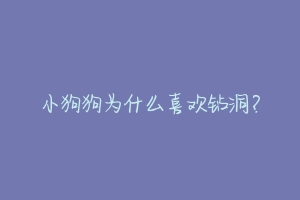 小狗狗为什么喜欢钻洞?
