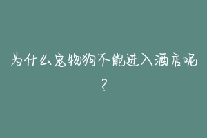 为什么宠物狗不能进入酒店呢?