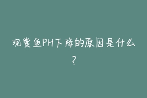 观赏鱼PH下降的原因是什么?