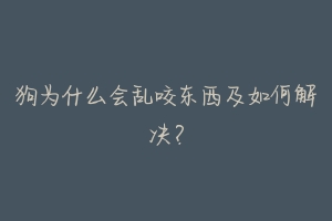 狗为什么会乱咬东西及如何解决?