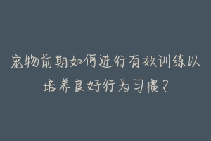 宠物前期如何进行有效训练以培养良好行为习惯?