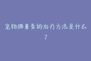 宠物猫鼻炎的治疗方法是什么?
