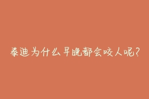 泰迪为什么早晚都会咬人呢?