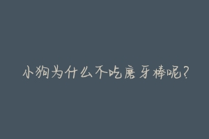 小狗为什么不吃磨牙棒呢?