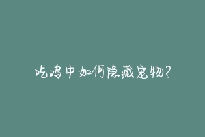 吃鸡中如何隐藏宠物?