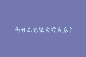 为什么仓鼠会得疾病?