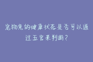 宠物兔的健康状态是否可以通过五官来判断?